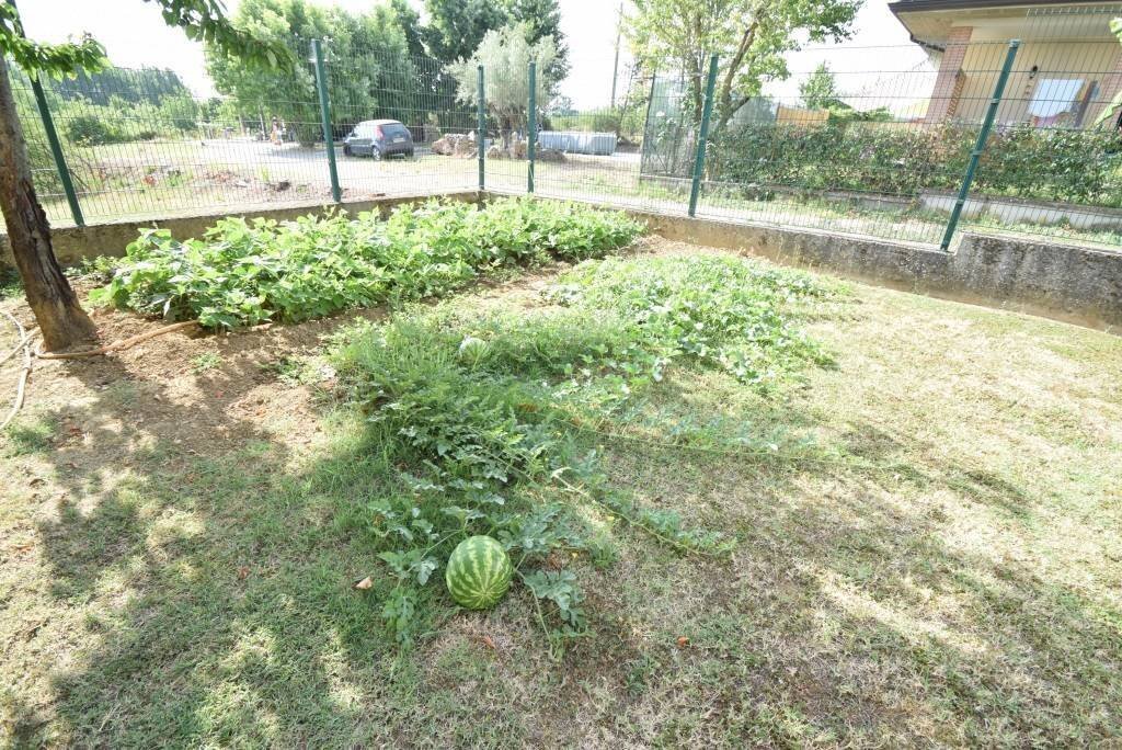 Giardino - Villa San Giorgio Piacentino - foto 1