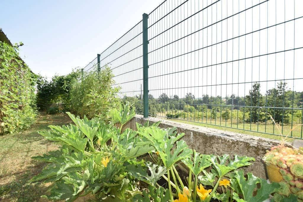 Terreno - Villa San Giorgio Piacentino - foto 2