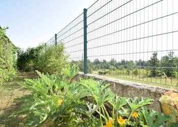 Terreno - Villa San Giorgio Piacentino - foto 2