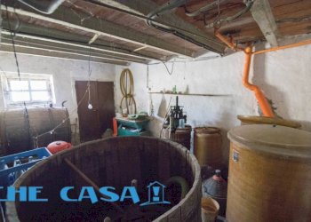 IMG_1969-2.jpg - Rustico via Provinciale, Montefiore Conca - foto 5