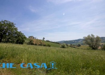 IMG_1981-2.jpg - Rustico via Provinciale, Montefiore Conca - foto 17