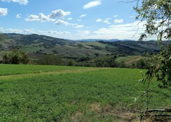 Terreno - Rustico via Provinciale, Montefiore Conca - foto 19