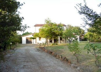 SAM_1203.JPG - Rustico Montescudo - Monte Colombo - foto 23