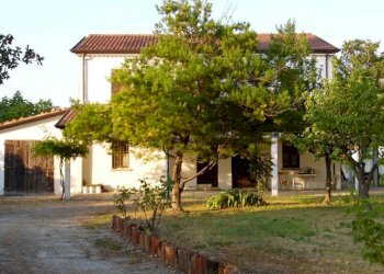 SAM_1204.JPG - Rustico Montescudo - Monte Colombo - foto 24