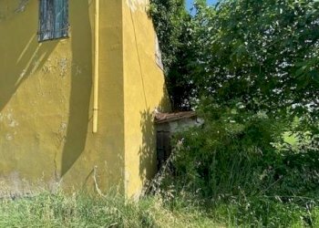 IMG_4234.jpg - Rustico via Enrico Fermi, 7, Misano Adriatico - foto 7