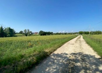 IMG_4228.jpg - Rustico via Enrico Fermi, 7, Misano Adriatico - foto 8