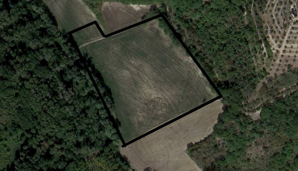 Agricultural land Saludecio - photo 1