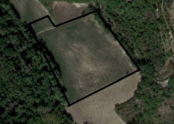 Terreno agricolo Saludecio - foto 1