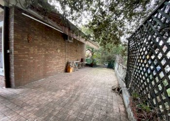 IMG_3183.jpg - Villa viale Oliveti, Rimini - foto 18