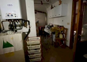 IMG_3192.jpg - Villa viale Oliveti, Rimini - foto 22