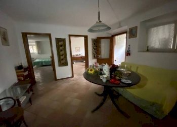 IMG_3194.jpg - Villa viale Oliveti, Rimini - foto 24