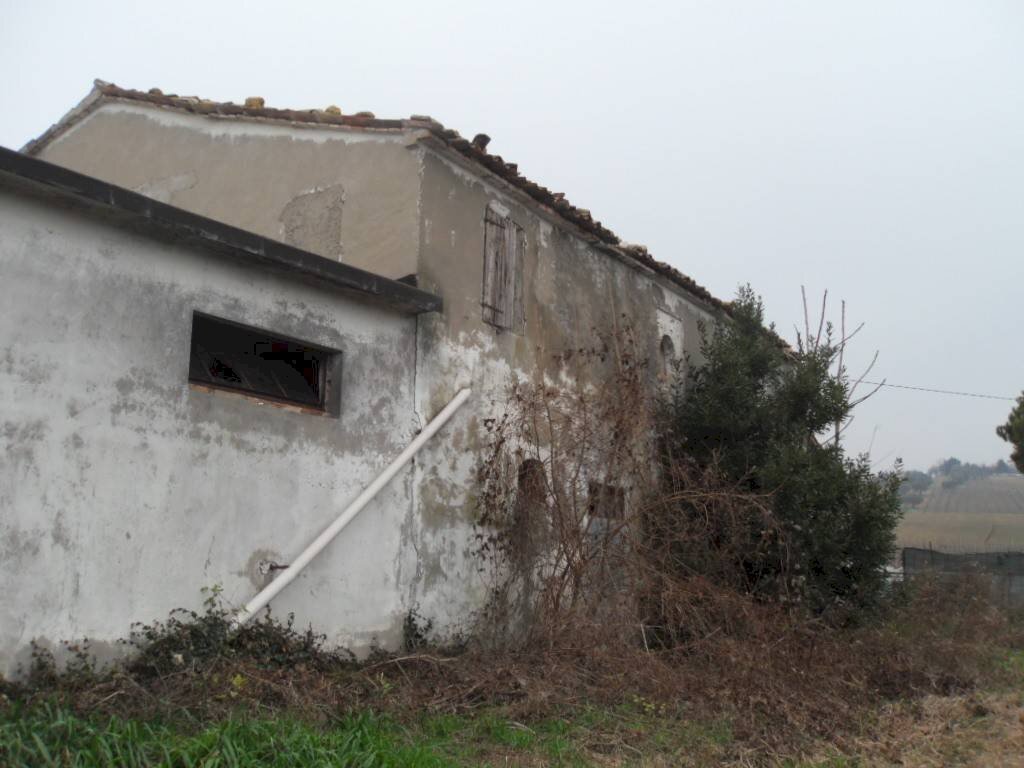 SDC11204.JPG - Capannone via Scaricalasino, 28, Coriano - foto 3