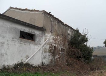 SDC11204.JPG - Capannone via Scaricalasino, 28, Coriano - foto 3