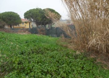 SDC11205.JPG - Capannone via Scaricalasino, 28, Coriano - foto 4