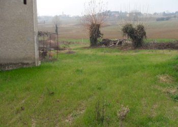 SDC11208.JPG - Capannone via Scaricalasino, 28, Coriano - foto 6