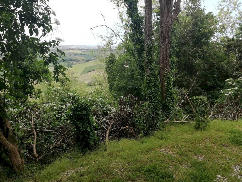 IMG_20210508_121354.jpg - Casa indipendente via Belarda, Montescudo - Monte Colombo - foto 3