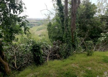 IMG_20210508_121354.jpg - Casa indipendente via Belarda, Montescudo - Monte Colombo - foto 3