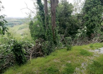 IMG_20210508_121351.jpg - Casa indipendente via Belarda, Montescudo - Monte Colombo - foto 4