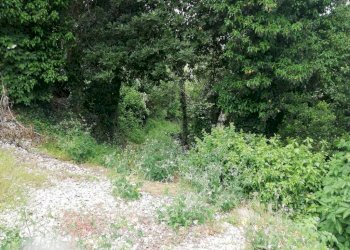 IMG_20210508_121656.jpg - Casa indipendente via Belarda, Montescudo - Monte Colombo - foto 13