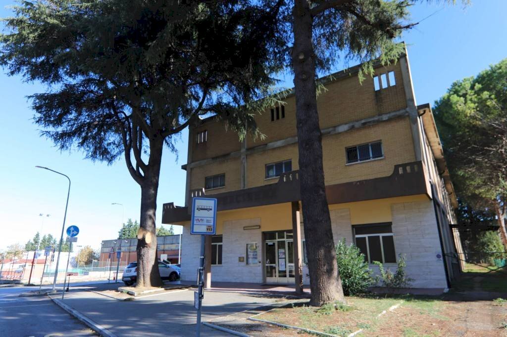 IMG_9638.JPG - Magazzino via stadio, 18, Morciano di Romagna - foto 2