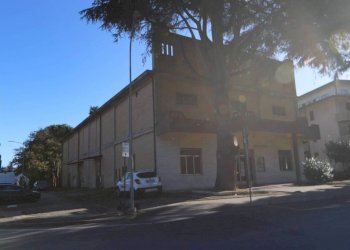 IMG_9634.JPG - Warehouse via stadio, 18, Morciano di Romagna - photo 15