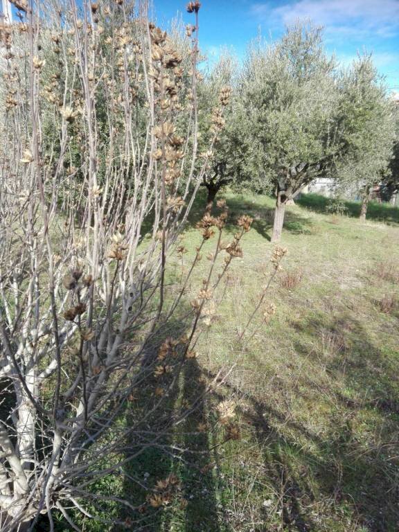 IMG_20190225_085633.jpg - Terreno edificabile via armando diaz, 15, Sassofeltrio - foto 1