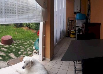 Bilocale via Andrea Costa, 98, Montescudo - Monte Colombo - foto 11