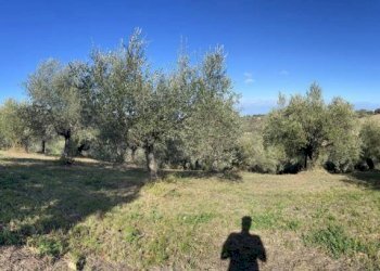 Terreno agricolo Saludecio - foto 3