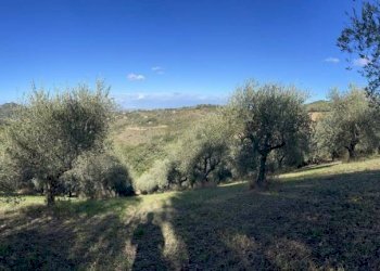 Terreno agricolo Saludecio - foto 4