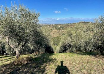 Terreno agricolo Saludecio - foto 6