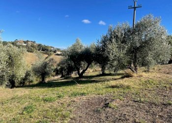 Terreno agricolo Saludecio - foto 12