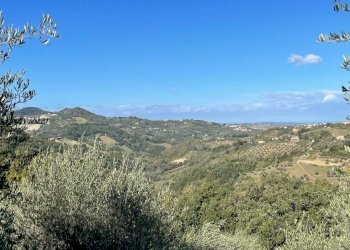 Terreno agricolo Saludecio - foto 14