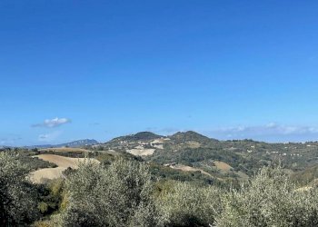 Terreno agricolo Saludecio - foto 15