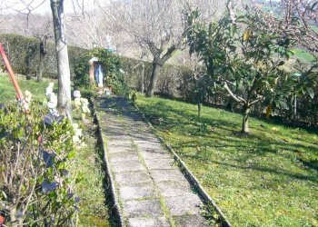 Casa indipendente Tavoleto - foto 17