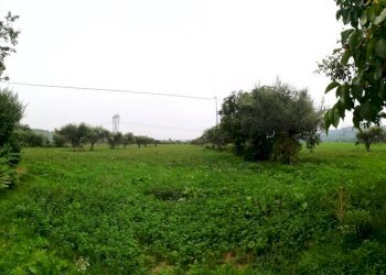 Rustico Montefiore Conca - foto 5