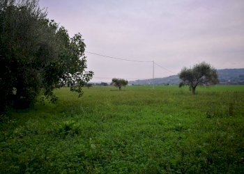 Rustico Montefiore Conca - foto 7