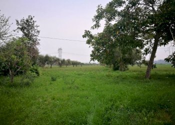 Rustico Montefiore Conca - foto 8