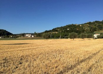 Rustico Montefiore Conca - foto 9