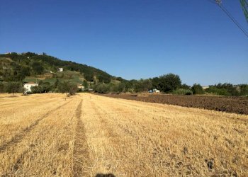 Rustico Montefiore Conca - foto 10