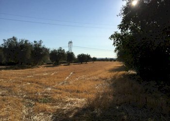 Rustico Montefiore Conca - foto 12