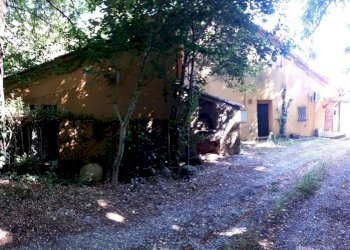 Rustico Tavoleto - foto 8