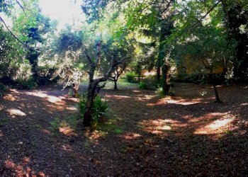 Rustico Tavoleto - foto 9