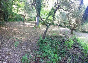 Rustico Tavoleto - foto 10