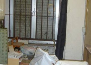 Shop via Gaetano Ronci, 8, Morciano di Romagna - photo 7