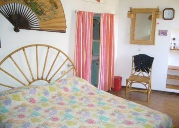 Stabile - Palazzo Monte Grimano Terme - foto 12