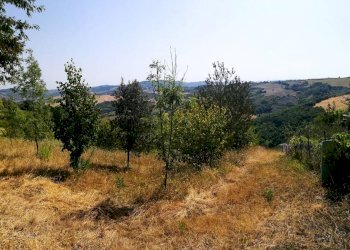 Casa indipendente Tavoleto - foto 16