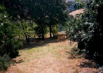Casa indipendente Tavoleto - foto 17