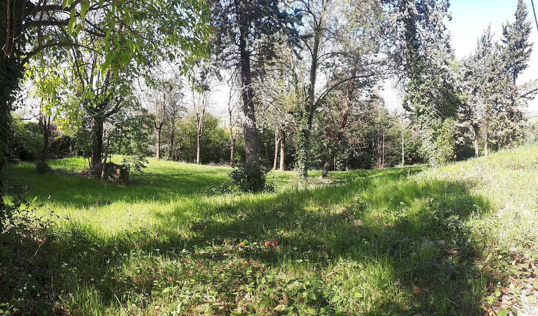 Stabile - Palazzo via Camillo Benso di Cavour, 1, San Clemente - planimetria 1