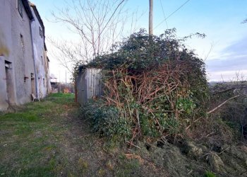 Rustico Tavoleto - foto 14