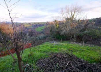 Rustico Tavoleto - foto 15